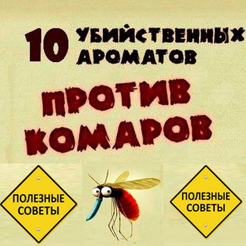 10 убийственных ароматов и другие полезные советы от комаров!
